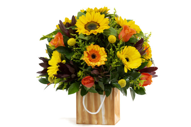 Regalo De Otoño