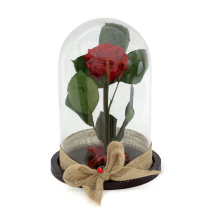 ¿Aún estás molesta?