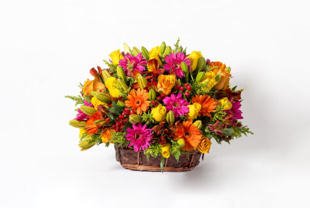 Pequeña Primavera