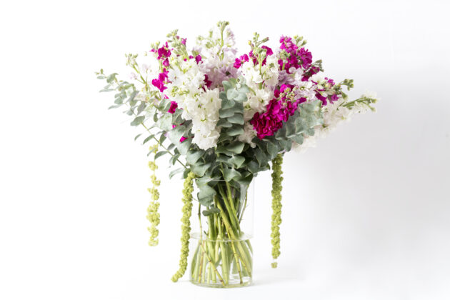 Floral Explosion