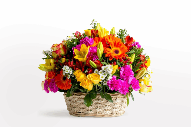 Eterna Primavera