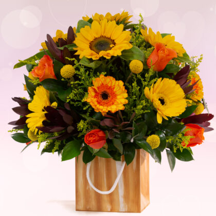 Regalo De Otoño